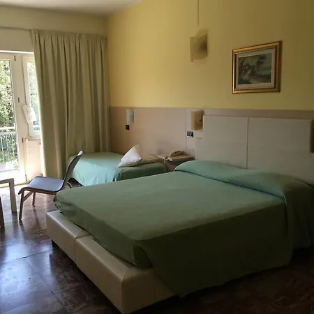 Carpino