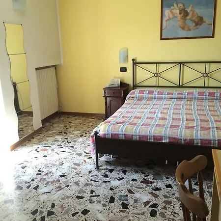 Carpino *
