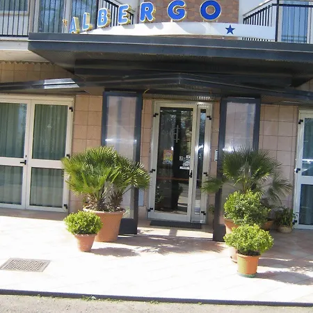 Carpino